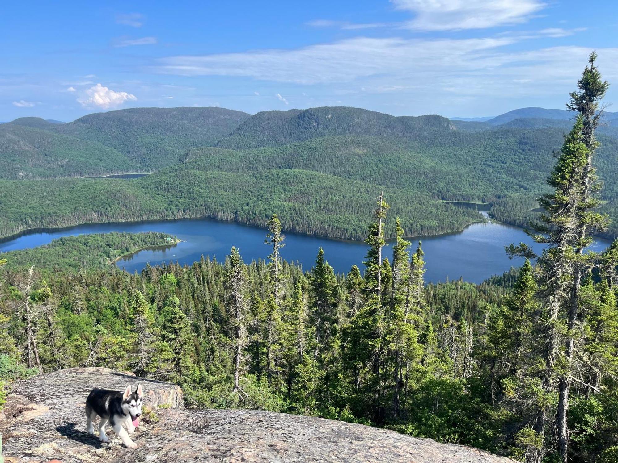 Auberge Boreale De Charlevoix Petit-Saguenay Экстерьер фото